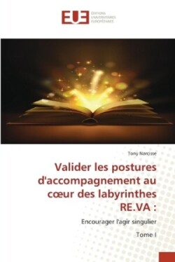 Valider les postures d'accompagnement au coeur des labyrinthes RE.VA