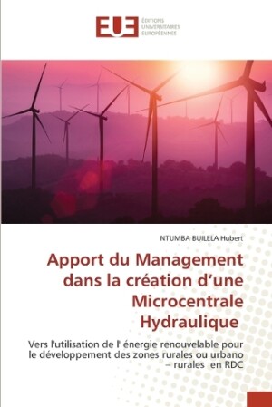 Apport du Management dans la cr�ation d'une Microcentrale Hydraulique