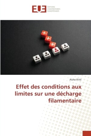 Effet des conditions aux limites sur une décharge filamentaire