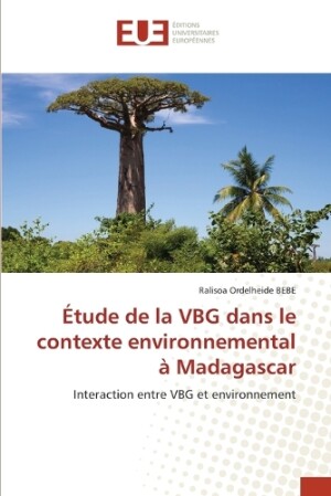 Étude de la VBG dans le contexte environnemental à Madagascar