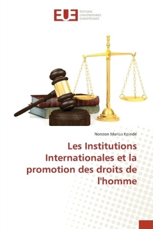 Les Institutions Internationales et la promotion des droits de l'homme