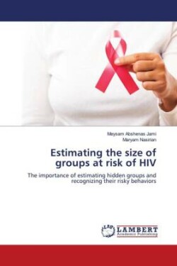 Estimating the size of groups at risk of HIV