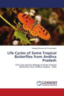 Life Cycles of Some Tropical Butterflies from Andhra Pradesh