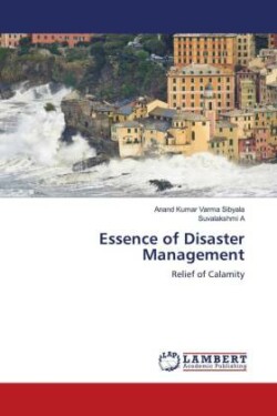 Essence of Disaster Management