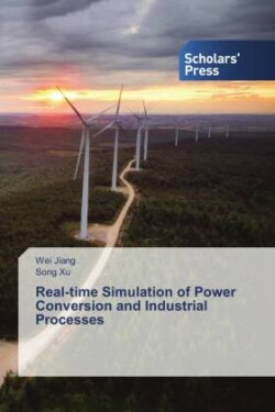 Real-time Simulation of Power Conversion and Industrial Processes