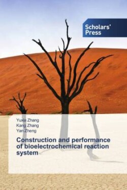 Construction and performance of bioelectrochemical reaction system