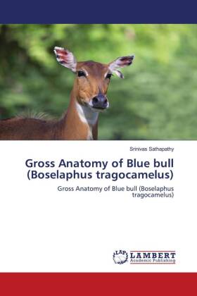 Gross Anatomy of Blue bull (Boselaphus tragocamelus)