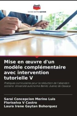 Mise en oeuvre d'un modèle complémentaire avec intervention tutorielle V