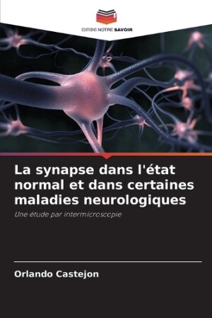 synapse dans l'état normal et dans certaines maladies neurologiques