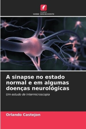 sinapse no estado normal e em algumas doenças neurológicas