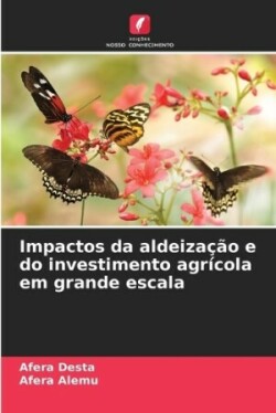 Impactos da aldeização e do investimento agrícola em grande escala