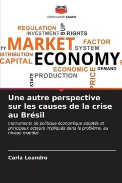 autre perspective sur les causes de la crise au Brésil