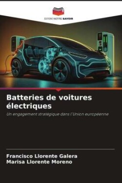 Batteries de voitures électriques