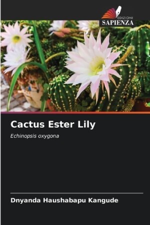 Cactus Ester Lily