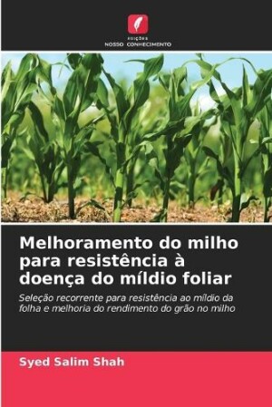 Melhoramento do milho para resistência à doença do míldio foliar