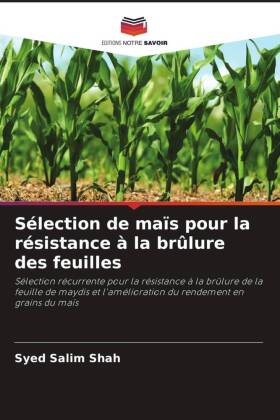 Sélection de maïs pour la résistance à la brûlure des feuilles