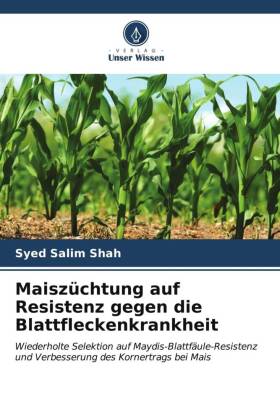 Maiszüchtung auf Resistenz gegen die Blattfleckenkrankheit