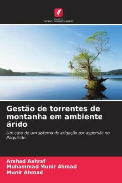 Gestão de torrentes de montanha em ambiente árido