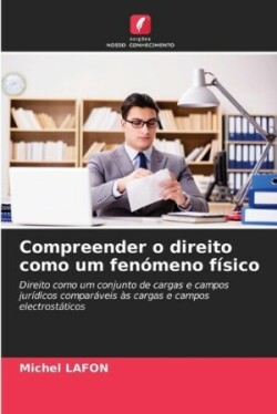 Compreender o direito como um fenómeno físico