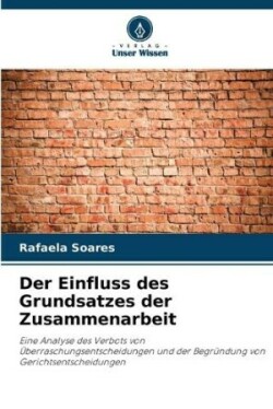 Einfluss des Grundsatzes der Zusammenarbeit