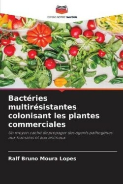 Bactéries multirésistantes colonisant les plantes commerciales