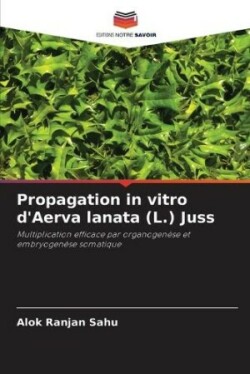 Propagation in vitro d'Aerva lanata (L.) Juss