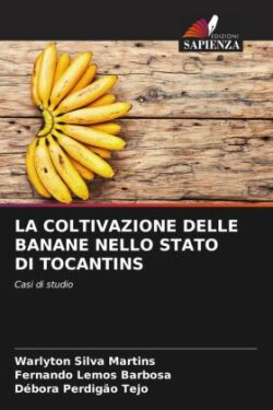 Coltivazione Delle Banane Nello Stato Di Tocantins