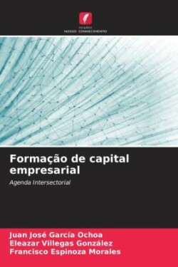 Formação de capital empresarial