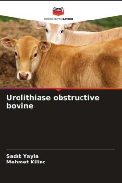 Urolithiase obstructive bovine