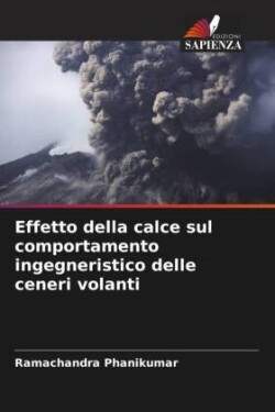 Effetto della calce sul comportamento ingegneristico delle ceneri volanti