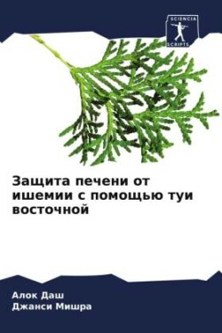 Zaschita pecheni ot ishemii s pomosch'ü tui wostochnoj