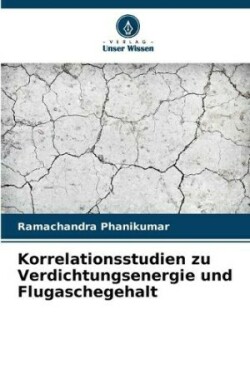 Korrelationsstudien zu Verdichtungsenergie und Flugaschegehalt