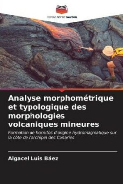 Analyse morphométrique et typologique des morphologies volcaniques mineures