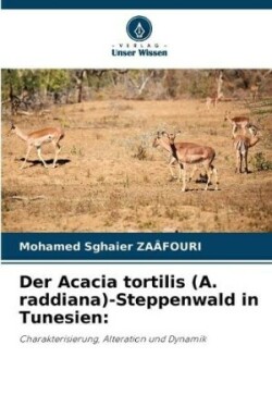 Acacia tortilis (A. raddiana)-Steppenwald in Tunesien