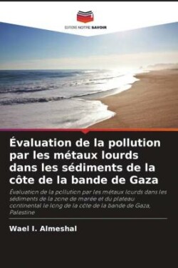 Évaluation de la pollution par les métaux lourds dans les sédiments de la côte de la bande de Gaza