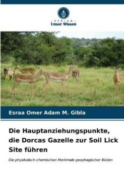 Hauptanziehungspunkte, die Dorcas Gazelle zur Soil Lick Site f�hren