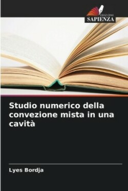 Studio numerico della convezione mista in una cavità