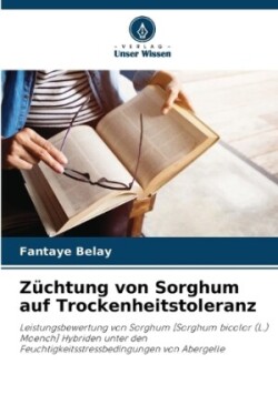 Züchtung von Sorghum auf Trockenheitstoleranz