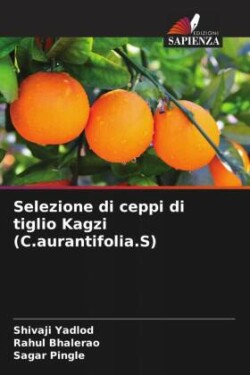 Selezione di ceppi di tiglio Kagzi (C.aurantifolia.S)