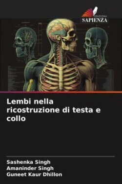 Lembi nella ricostruzione di testa e collo