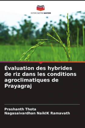�valuation des hybrides de riz dans les conditions agroclimatiques de Prayagraj