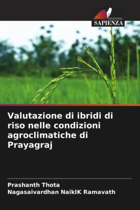 Valutazione di ibridi di riso nelle condizioni agroclimatiche di Prayagraj