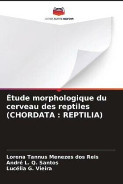 �tude morphologique du cerveau des reptiles (CHORDATA