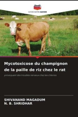 Mycotoxicose du champignon de la paille de riz chez le rat