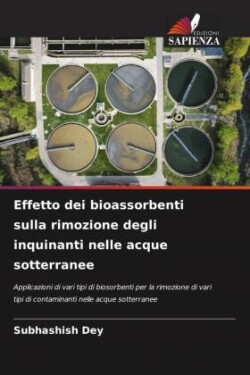 Effetto dei bioassorbenti sulla rimozione degli inquinanti nelle acque sotterranee