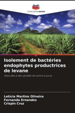 Isolement de bactéries endophytes productrices de levane