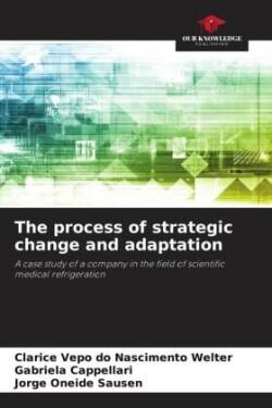 process of strategic change and adaptation