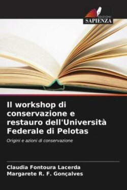workshop di conservazione e restauro dell'Universit� Federale di Pelotas