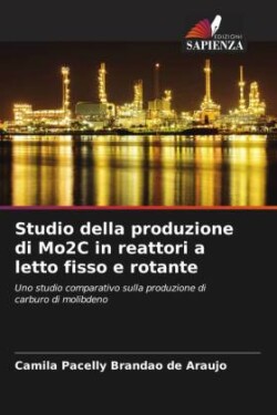 Studio della produzione di Mo2C in reattori a letto fisso e rotante