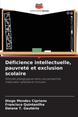 Déficience intellectuelle, pauvreté et exclusion scolaire